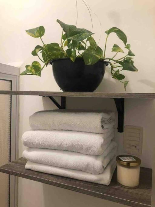 Comfortable And Private House 2 Bedrooms Wifi Parking Free Monterrey Eksteriør bilde